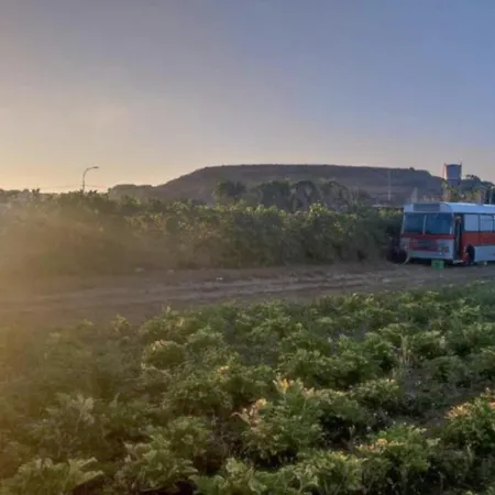 Unique Bus With Stunning Views In Ramla Bay By 360 Estates Campsite